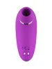 Vibromasseur à succion clitoridienne violet USB - WS-NV053PUR
